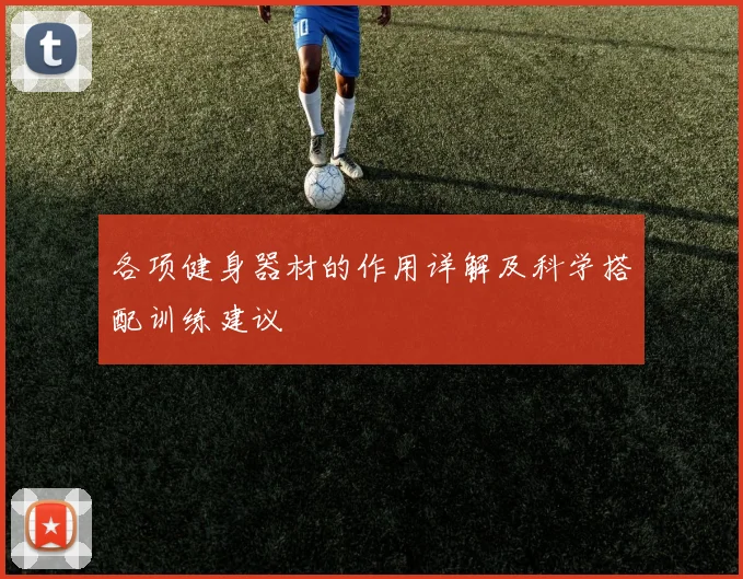 各项健身器材的作用详解及科学搭配训练建议